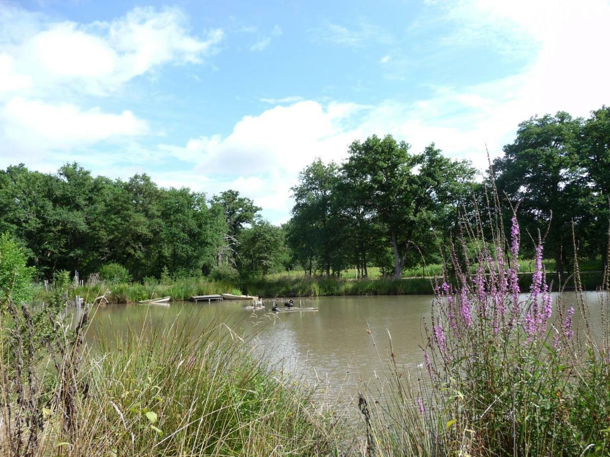 Crouy-sur-CossonFerme Des Poulardieres别墅 外观 照片