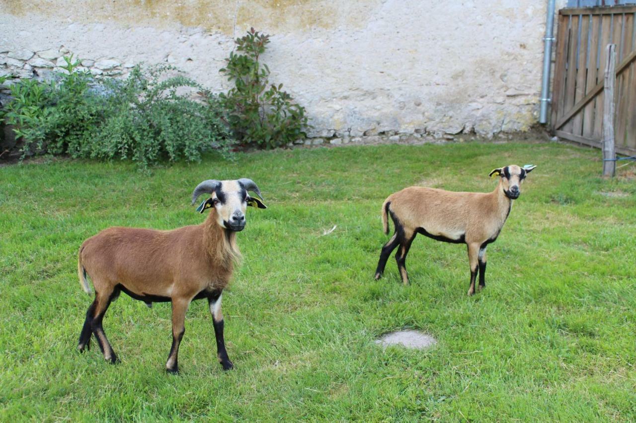 Crouy-sur-CossonFerme Des Poulardieres别墅 外观 照片